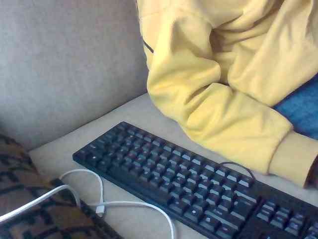 Dollie webcam