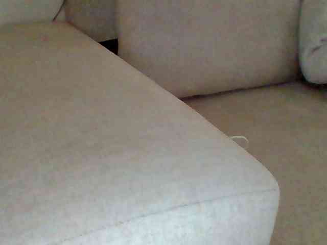 Dollie webcam