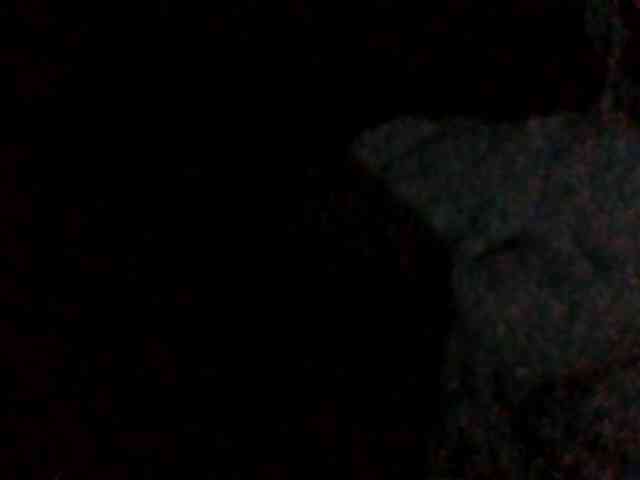Dollie webcam