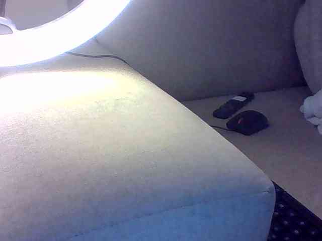 Dollie webcam
