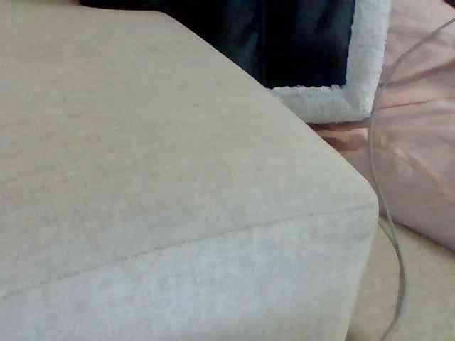 Dollie webcam