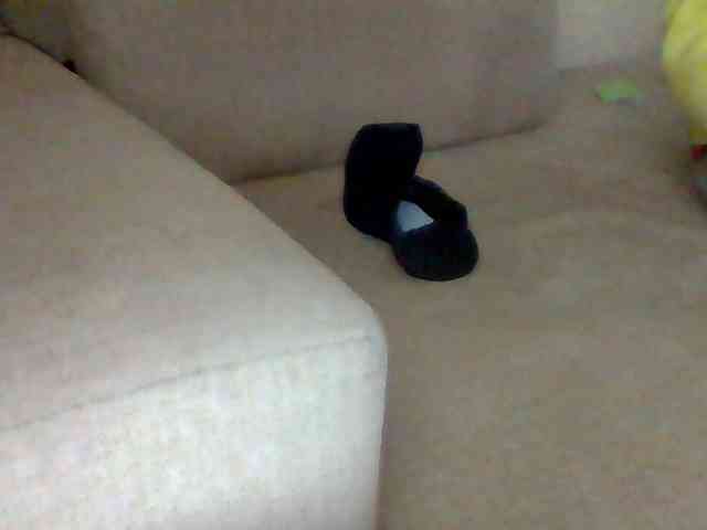 Dollie webcam
