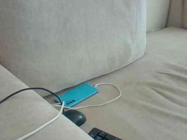 Dollie webcam