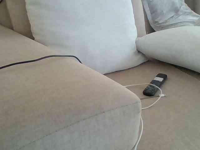 Dollie webcam