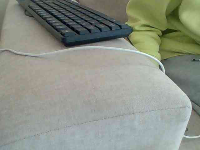 Dollie webcam