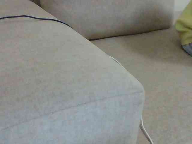 Dollie webcam