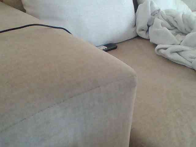 Dollie webcam