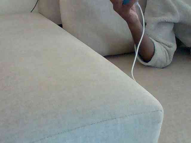 Dollie webcam