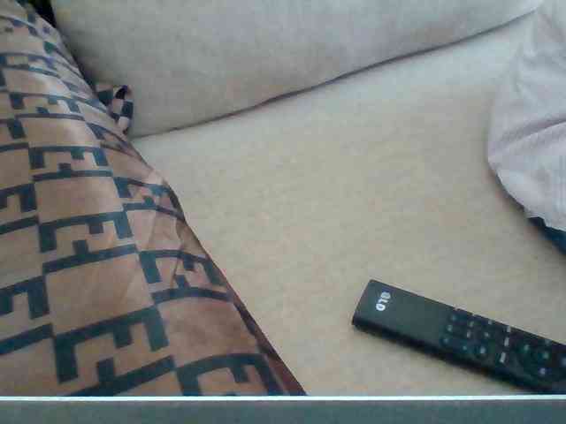 Dollie webcam