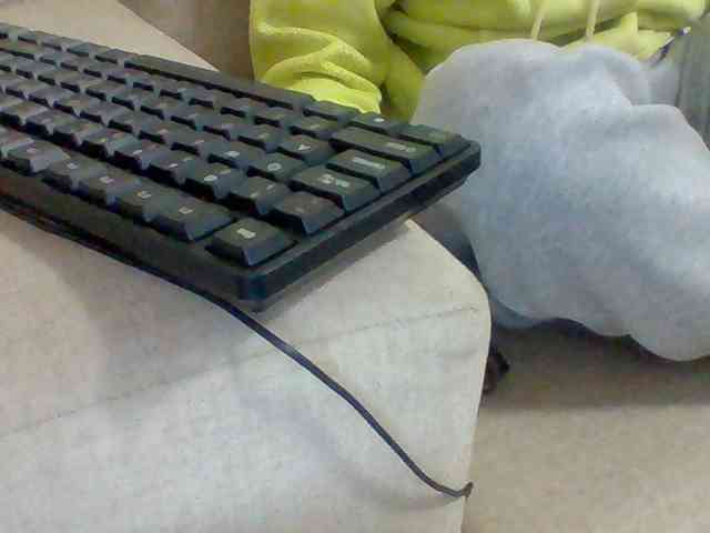 Dollie webcam