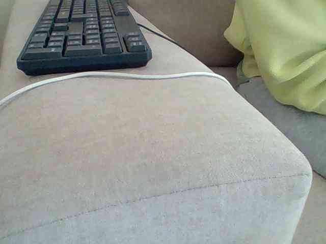 Dollie webcam