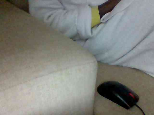 Dollie webcam