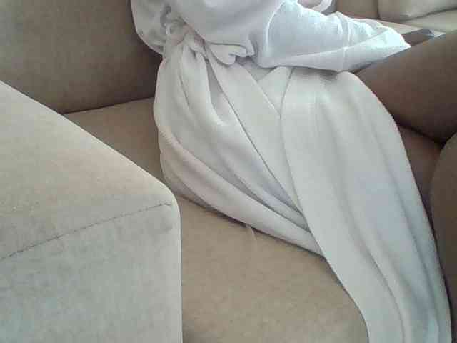 Dollie webcam