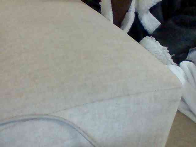 Dollie webcam