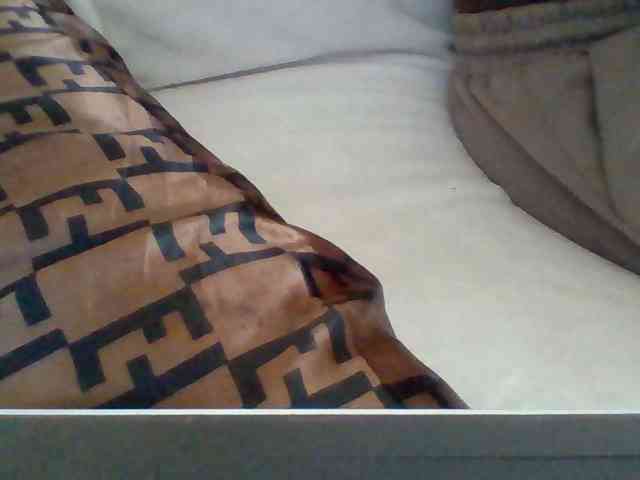 Dollie webcam
