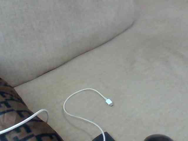 Dollie webcam