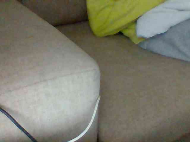 Dollie webcam