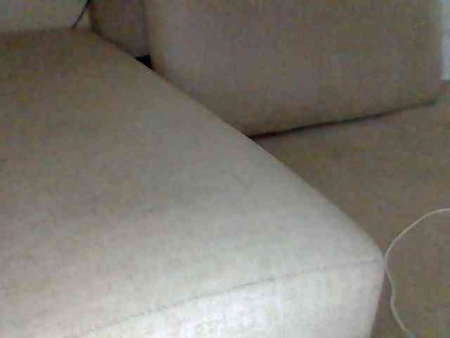 Dollie webcam