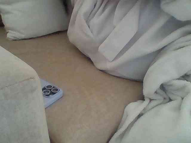 Dollie webcam