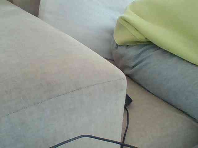 Dollie webcam