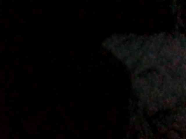Dollie webcam