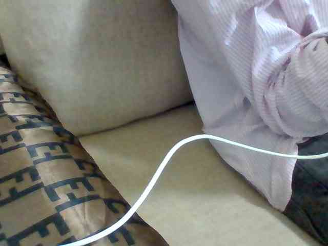 Dollie webcam