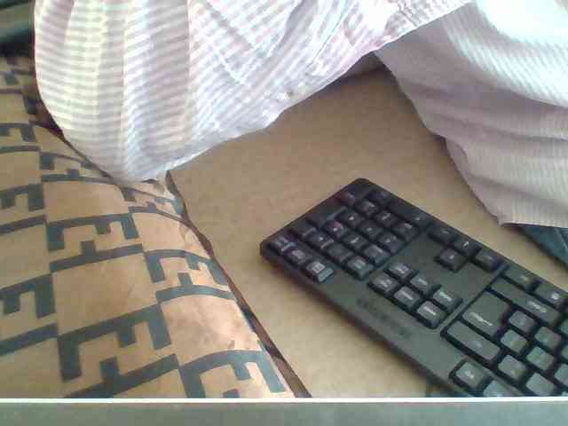 Dollie webcam