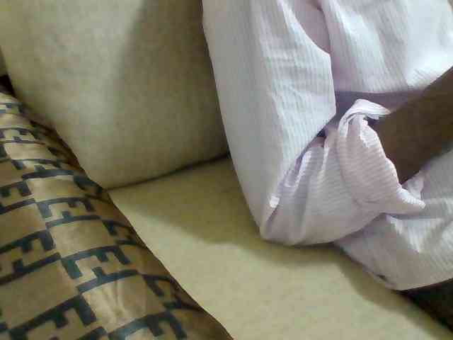 Dollie webcam