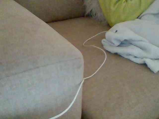 Dollie webcam