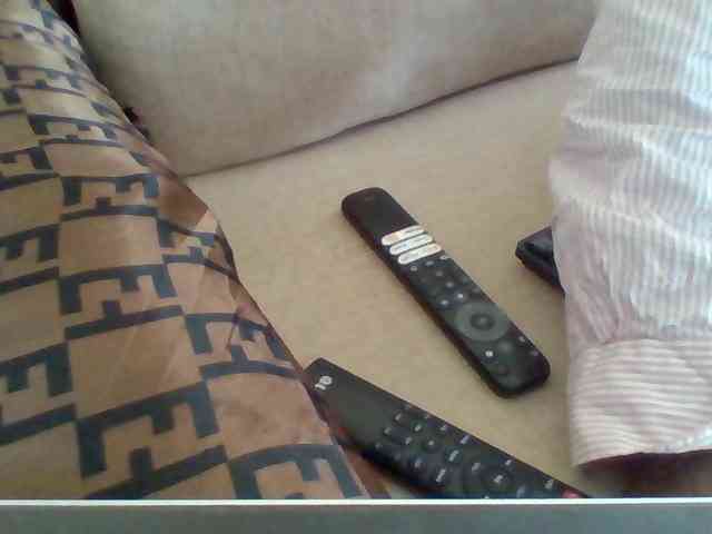 Dollie webcam