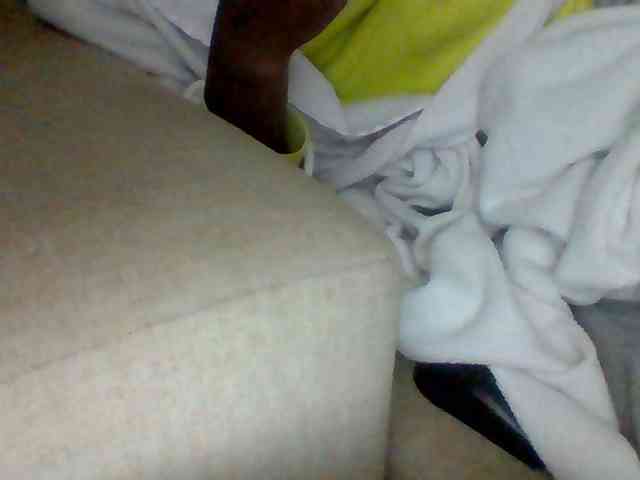 Dollie webcam
