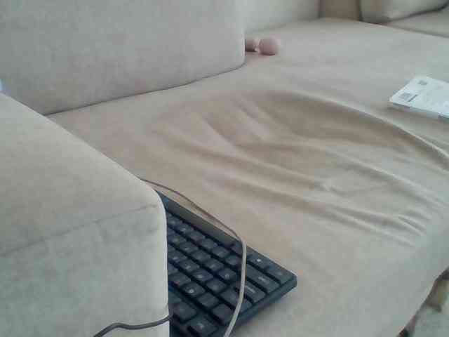 Dollie webcam