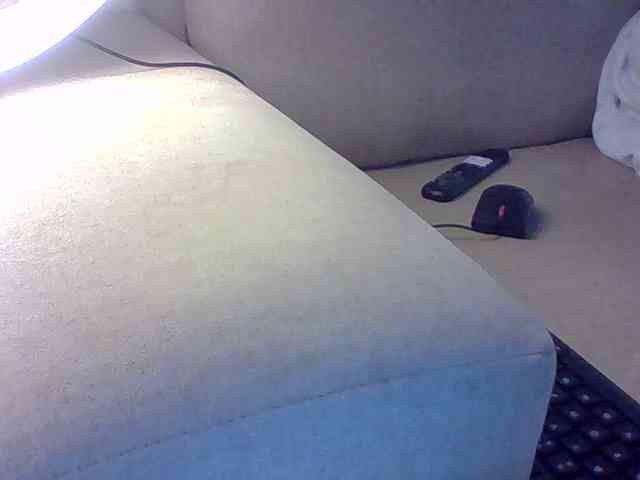 Dollie webcam
