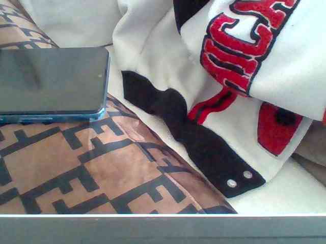 Dollie webcam
