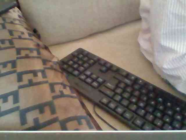 Dollie webcam