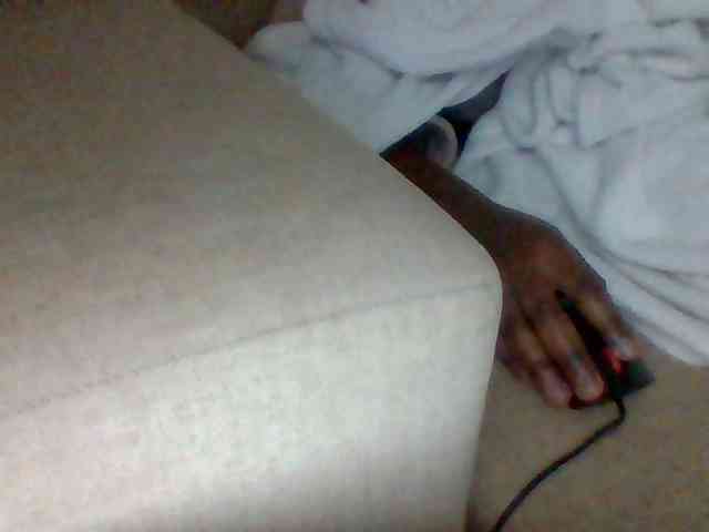 Dollie webcam
