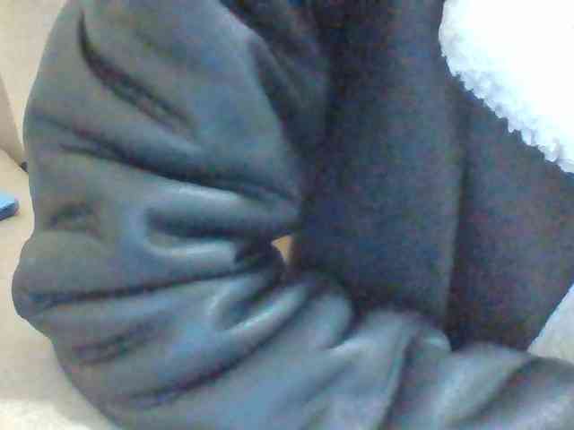 Dollie webcam