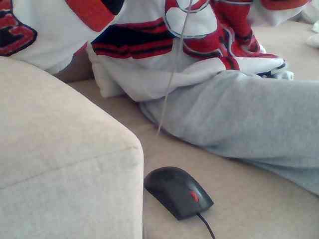 Dollie webcam