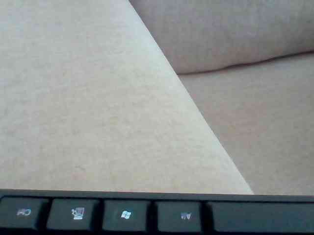 Dollie webcam