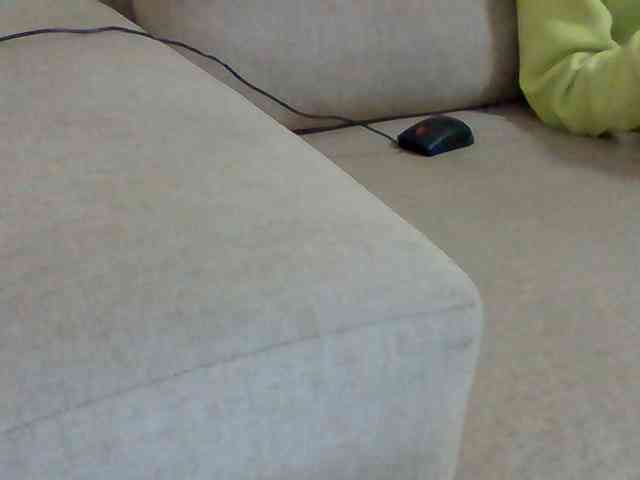 Dollie webcam