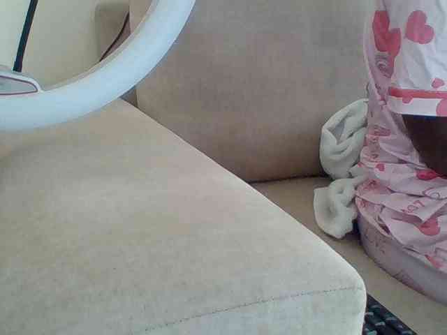 Dollie webcam
