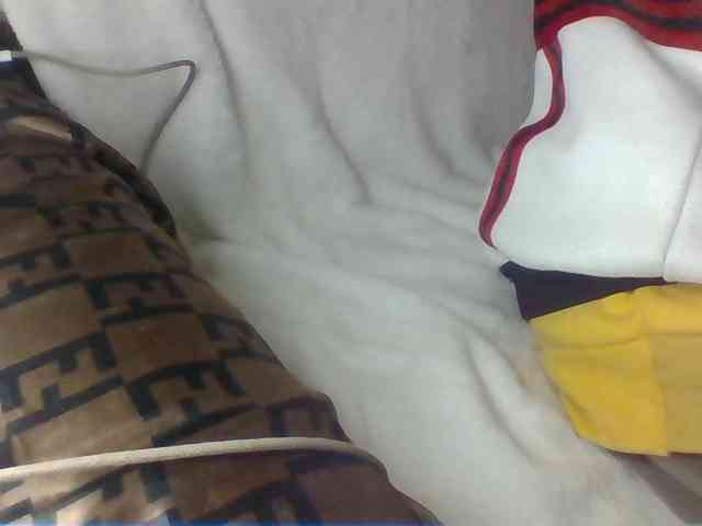 Dollie webcam