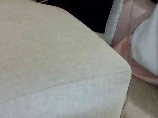 Dollie webcam