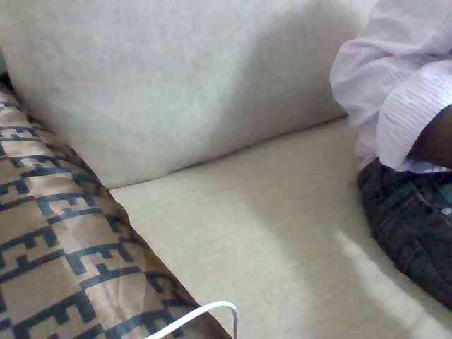 Dollie webcam