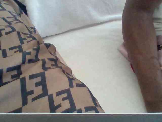 Dollie webcam