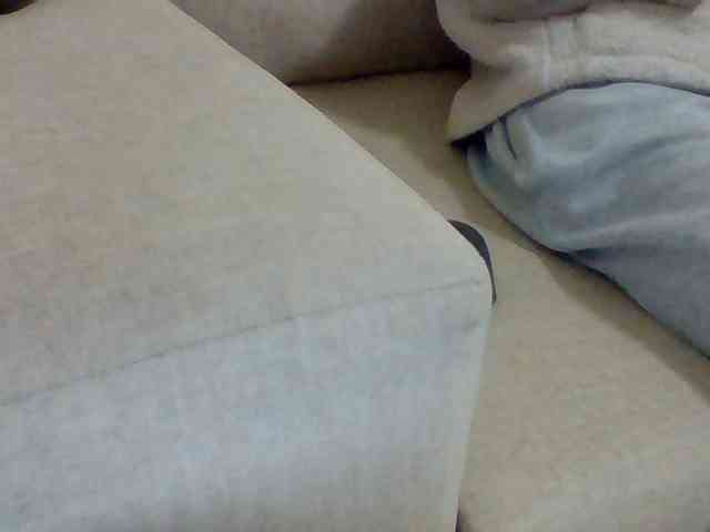 Dollie webcam