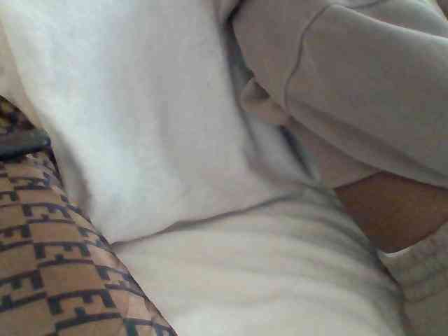 Dollie webcam