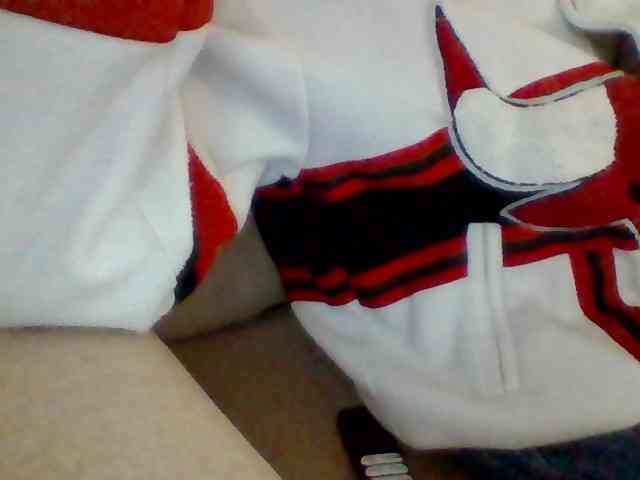 Dollie webcam
