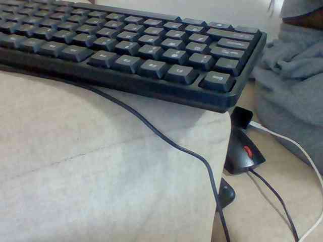 Dollie webcam