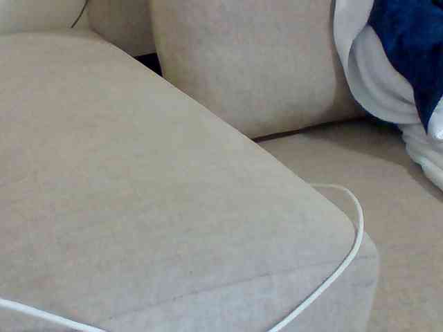 Dollie webcam